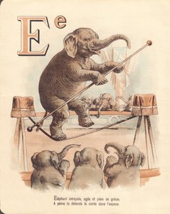 E: Elefant, Akrobat, unerschrockener Elefant, agil und voller Anmut, entspannt kaum das Seil im Raum