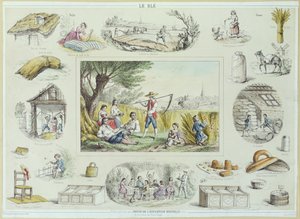 Bildungstafel von Mais, ca. 1860-1870 von French School