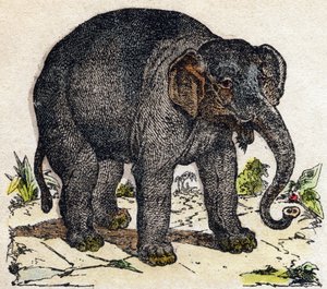 Elefant. Gravur in „Alphabet der wilden Tiere“. 9. Serie. Bildsprache von Epinal, Pellerin, Drucker-Verleger, um 1870. Holzschnitte, schabloniert. 16 Seiten. Private Sammlung von French School