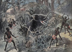 Elefantenjagd in Afrika. Der Elefant fällt in eine Grube, bevor er mit Pfeilen erledigt wird. Gravur in „Le Pelerin“ 22.01.1899. von French School