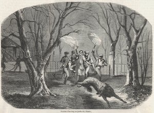 Flucht eines Wolfes im Jardin des Plantes in Paris - Gravur in „Tableau-de-Paris“ von Edmond Texier 1852 von French School