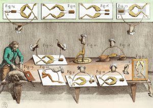 Experiment an Fröschen, Illustration aus De viribus electricitatis in motu muscumari (spätere Kolorierung)