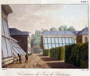 Außenansicht der Gewächshäuser von Schönbrunn - in 