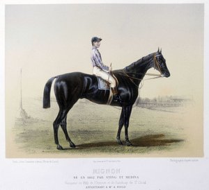 Berühmtes Rennpferd - in „Der Centaur“ 1866 von French School