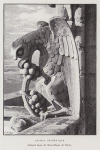 Figur eines chimärenartigen Tieres, aus der oberen Galerie von Notre Dame de Paris von French School