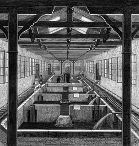 Fischzucht: die bewirtschafteten Teiche von Brut in Huningue, Haut Rhin (68)