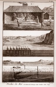Fischen, Heringe und Sardinen - „La Grande Encyclopedie, ou Dictionnaire Raisonne des Sciences, des Arts et des Metiers“ von Deni von French School