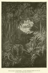 Wilde und undurchdringliche Wälder... der schwere Mastodon zertrampelte unter seinen Schritten die bereits in den Lichtungen erblühten Blumen (Gravur) von French School