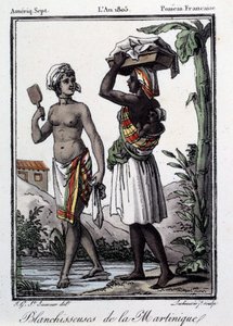 Französische Kolonien: Bleichmittel aus Martinique in den Westindischen Inseln. Gravur von 1805 von French School