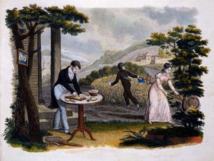 Frontispiz aus Les Papillons... von Eugene Balland, veröffentlicht von P. Blanchard, Lecerf, Paris, 1823 von French School