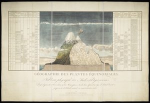 Geographie der Äquatorialpflanzen von French School