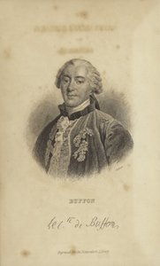 Georges-Louis Leclerc, Comte de Buffon von French School