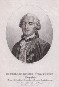 Georges-Louis Leclerc, Comte de Buffon, französischer Wissenschaftler und Schriftsteller (Stich) von French School