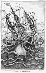 Riesiger Oktopus, Illustration aus L