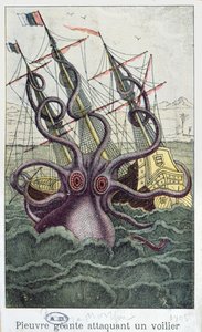 Riesiger Oktopus, Illustration aus LHistoire Naturelle Generale et Particuliere des Mollusques von Denys-Montfort, ca. 1802-03 von French School