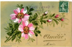 Grüße mit Blumenpflanze. Postkarte Anfang des 20. Jahrhunderts. von French School