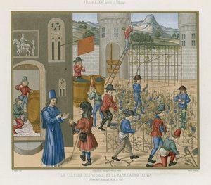 Weinbau und Weinherstellung von French School