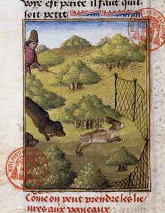 Hasenjagd - in „Jagd Buch von Gaston Phoebus, Graf von Foix, Herr von Béarn“