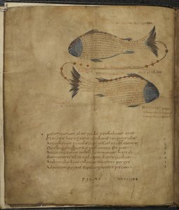 Illustration des Sternbildes Fische, aus 