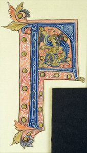 Historisierte Initiale P, die einen geflügelten Greif zeigt