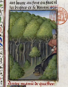 Jagdhund - im „Jagd-Buch von Gaston Phoebus, Graf von Foix, Herr von Béarn“