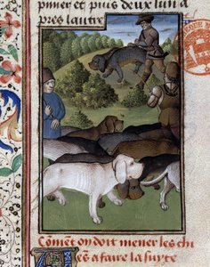 Jagdhunde - in „Jagd Buch von Gaston Phoebus, Graf von Foix, Herr von Béarn“