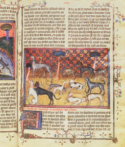 Jagdhunde von Gaston III., Comte de Foix Phebus le Chasseur (1331-91), aus Livre de la Chasse, 1387-89 von French School