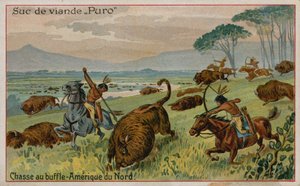 Büffeljagd in Nordamerika