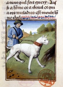 Jagdhund an der Leine gehalten - in „Jagd Buch von Gaston Phoebus, Graf von Foix, Herr von Béarn“