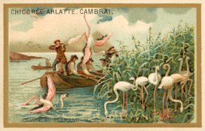 Flamingojagd, Spanien von French School