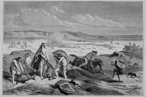 Jagd auf Guanako und Nandu in Argentinien