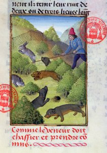 Kaninchenjagd mit Hunden und Netzen, aus dem Livre de la Chasse von Gaston Phebus, frühes 15. Jahrhundert von French School