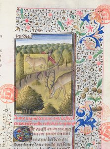 Jäger versteckt sich hinter einem Lockvogel bei der Jagd auf einen Hirsch, aus dem Livre de la Chasse von Gaston Phebus de Foix (1331-91)