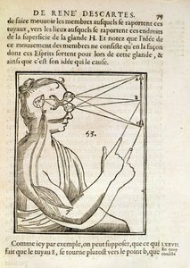 Illustration aus De Homine Figuris von Rene Descartes, veröffentlicht in Den Haag, 1662