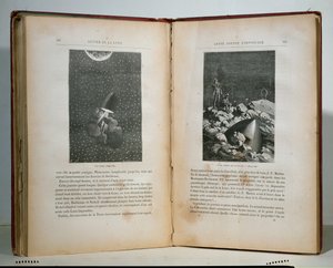 Illustrationen aus Reise um den Mond von Jules Verne von French School