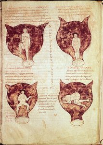 Illustrationen des Fötus, aus dem sogenannten Rhodion-Manuskript von French School