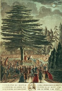 Einweihung der Büste von Carl Linnaeus (1707-78) im Jardin des Plantes, unter der Zeder von Libanon, die er 1646 pflanzte, 23. August 1790 von French School