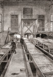 Innenansicht einer Fischfarm des 19. Jahrhunderts in Huningue, Frankreich, aus Les Merveilles de la Science, veröffentlicht um 1870 (Gravur)