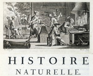 Innenansicht einer Schmiede - in „Naturgeschichte, allgemein und besonders“ von Buffon von French School