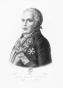 Johann VI. von Portugal (Stich)