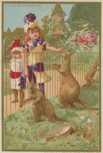 Kängurus im Zoo von French School