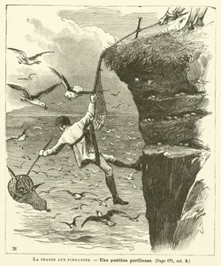 Die Pinguinjagd (Stich) von French School