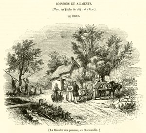 Apfelernte in der Normandie von French School