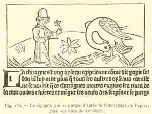 Der Storch, der sich reinigt von French School