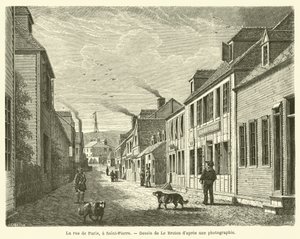 Die Rue de Paris in Saint-Pierre von French School