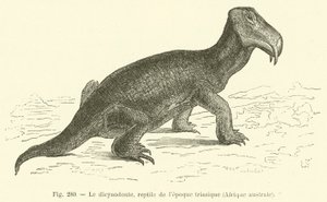 Der Dicynodont, Reptil der Triaszeit, Südafrika (Gravur) von French School