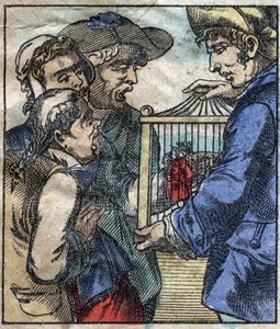 Lemuel Gulliver, in einem Käfig, wird den Riesen von Brobdingnag gezeigt. Illustration für „Gullivers Reisen“ von Jonathan Swift (1667-1745). Epinal Imaging Ende des 19. Jahrhunderts. von French School