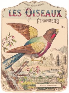 Les Oiseaux Étrangers: Albumcover. Charbonnière mesange., Ende 19. Jahrhundert von French School