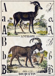 Buchstabe A Antilope; B Steinbock. Gravur in "Alphabet der wilden Tiere". 9. Serie. Bildersammlung von Epinal, Pellerin, Drucker-Verleger, um 1870