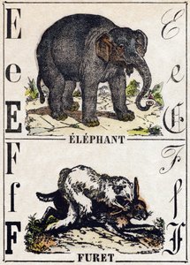 Buchstabe E Elefant; F Frettchen. Gravur in "Alphabet des animaux sauvages". 9. Serie. Bildersammlung von Epinal, Pellerin, Drucker-Verleger, um 1870. Holzschnitte, schabloniert. 16 Seiten. Dim: 20 x 15 cm. Private Sammlung